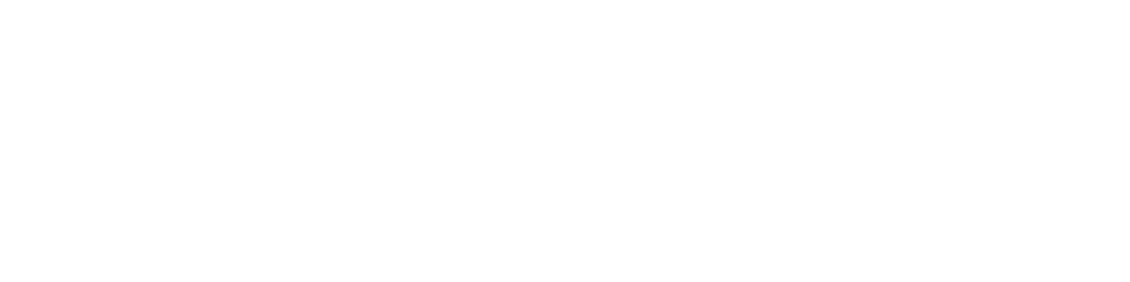 Anyline